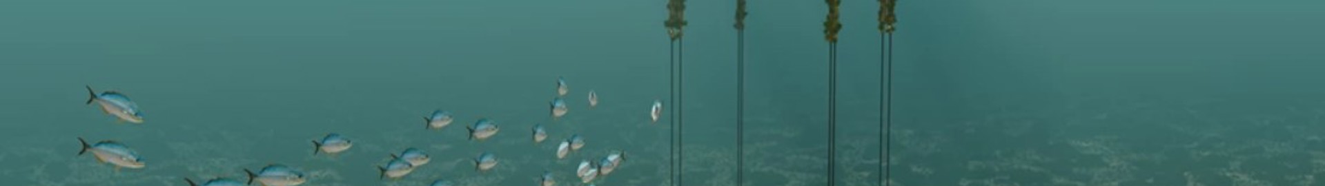 Gicon Windpark 08 Fauna Flora Small